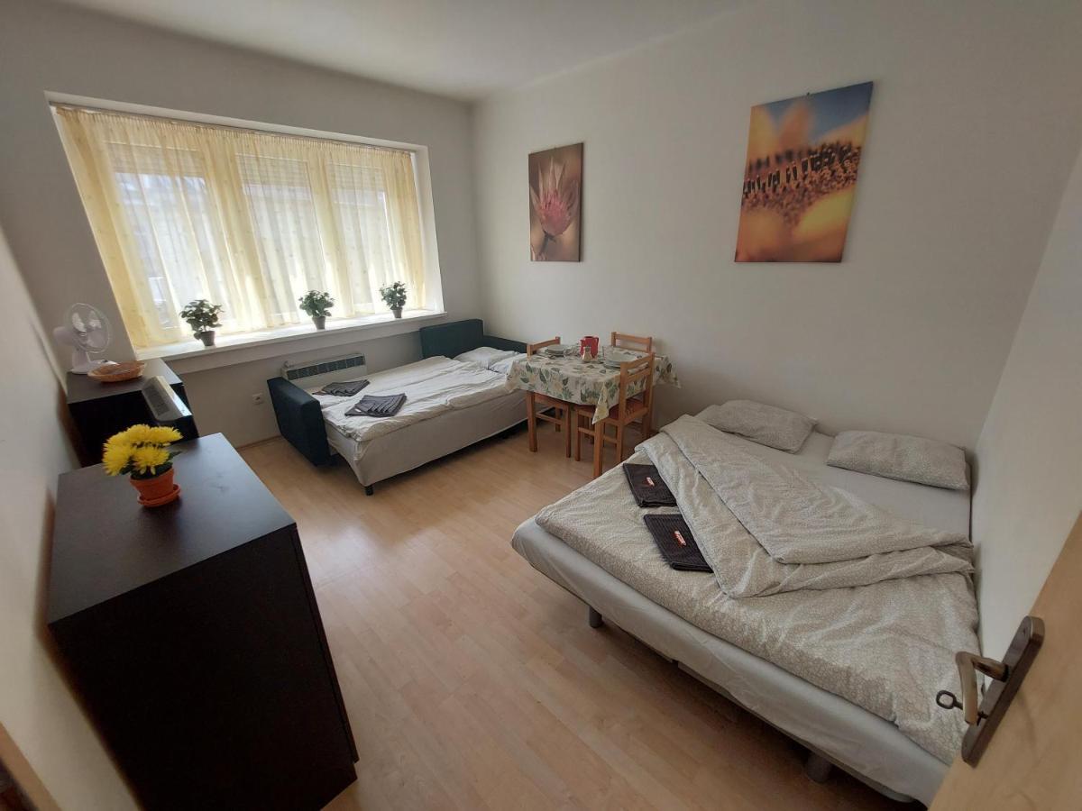 Apartman V Centre Bratislavy Διαμέρισμα Μπρατισλάβα Εξωτερικό φωτογραφία